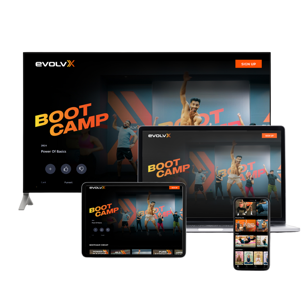 12 Months Subscription